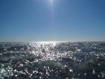 Шведские водолазы в Балтийском море нашли столетнее вино Шведские водолазы в Балтийском море нашли столетнее вино