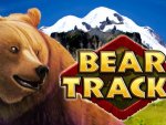        Bear Tracks