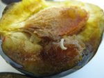 Молдавские сливы с плодожорками на территория Курского края не попали Молдавские сливы с плодожорками на территория Курского края не попали