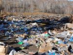 Прокуратура Курской области: в Курском районе ликвидировано пять свалок Прокуратура Курской области: в Курском районе ликвидировано пять свалок