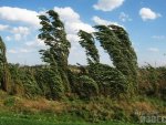 Синоптики: в Курской области стоит ожидать грозы и шквалистый ветер Синоптики: в Курской области стоит ожидать грозы и шквалистый ветер