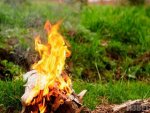 В Курске принято решение ввести особый противопожарный режим В Курске принято решение ввести особый противопожарный режим