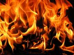 Пожар ночью под Курском: сгорела «Газель Некст» Пожар ночью под Курском: сгорела «Газель Некст»