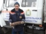 Очередная находка в Курской области боеприпасов: обнаружены 4 артснаряда Очередная находка в Курской области боеприпасов: обнаружены 4 артснаряда