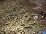 УМВД России по Курской области о том, что задержали курянина с 15 кг марихуаны УМВД России по Курской области о том, что задержали курянина с 15 кг марихуаны