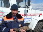 ГУ МЧС по Курской области о том, что в Поныровском районе нашли минометную мину ГУ МЧС по Курской области о том, что в Поныровском районе нашли минометную мину