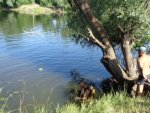 ГУ МЧС по Курской области: в Курчатовском районе утонул подросток ГУ МЧС по Курской области: в Курчатовском районе утонул подросток