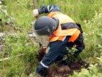 Курские взрывотехники: обезврежено 6 боеприпасов Курские взрывотехники: обезврежено 6 боеприпасов