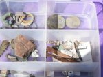 О находке в Курской области: археологами обнаружено древнее поселение и следы ювелирного производства О находке в Курской области: археологами обнаружено древнее поселение и следы ювелирного производства
