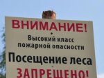 В Курской области планируют ограничить пребывание граждан в лесах В Курской области планируют ограничить пребывание граждан в лесах