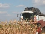 В Курской области убирают кукурузу В Курской области убирают кукурузу