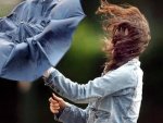 Прогноз Курского Гидрометцентра: в области ожидаются дожди и сильный ветер Прогноз Курского Гидрометцентра: в области ожидаются дожди и сильный ветер