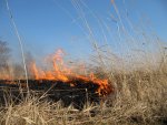 Пожар под Курском: горела сухая трава Пожар под Курском: горела сухая трава