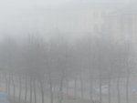 О непогоде в Курской области: ожидается туман О непогоде в Курской области: ожидается туман