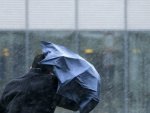 О погоде в Курской области: в этот раз обещают порывы ветра и туман О погоде в Курской области: в этот раз обещают порывы ветра и туман