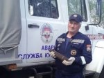 Инцидент в курском селе: нашли артиллерийский снаряд времен ВОВ Инцидент в курском селе: нашли артиллерийский снаряд времен ВОВ