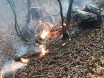 Трагедия под Абрау-Дюрсо: разбился вертолет, погиб пилот Трагедия под Абрау-Дюрсо: разбился вертолет, погиб пилот