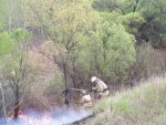 О пожаре в Курске: на 20 сотках горит камыш О пожаре в Курске: на 20 сотках горит камыш