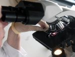 В России начали исследуют медицинскую марихуану В России начали исследуют медицинскую марихуану
