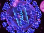 О том, что в Курской области провели приблизительно 60 тысяч тестов на коронавирус О том, что в Курской области провели приблизительно 60 тысяч тестов на коронавирус