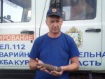 Пресс-служба ГУ МЧС России по Курской области: спасатели обезвредили артиллерийский снаряд Пресс-служба ГУ МЧС России по Курской области: спасатели обезвредили артиллерийский снаряд