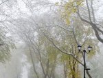 В Курской области стоит ожидать туман и снег В Курской области стоит ожидать туман и снег