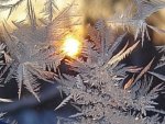 Пресс-служба МЧС РФ по КО: курян предупредили об аномально холодной погоде Пресс-служба МЧС РФ по КО: курян предупредили об аномально холодной погоде