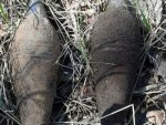 В Курской области обнаружены 2 минометные мины В Курской области обнаружены 2 минометные мины