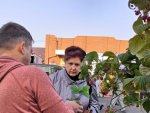 В Курске впервые запланирована садовая ярмарка В Курске впервые запланирована садовая ярмарка