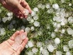Последствия града в Курске: повреждены посевы в 5 районах Курской области Последствия града в Курске: повреждены посевы в 5 районах Курской области