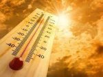 Курян ожидает практически неделя аномальной жары 