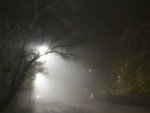 О непогоде в Курской области: ожидается туман 