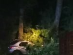 О ДТП в Курской области: автомобиль врезался в дерево О ДТП в Курской области: автомобиль врезался в дерево