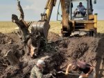 Администрация КО: курские поисковики обнаружили самолет времен войны Администрация КО: курские поисковики обнаружили самолет времен войны