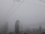 В Курской области стоит ожидать заморозки и туман