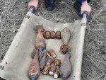 Пресс-служба ГО и ЧС КО: в Курской области обезврежены боеприпасы времен войны Пресс-служба ГО и ЧС КО: в Курской области обезврежены боеприпасы времен войны