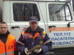 О том, что в Курской области обнаружена миномётная мина О том, что в Курской области обнаружена миномётная мина