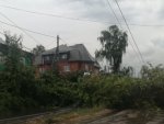 Мэр о последствиях непогоды в Курске: прошедший ураган повалил 369 деревьев Мэр о последствиях непогоды в Курске: прошедший ураган повалил 369 деревьев