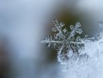 Синоптики о погоде в Курской области: ночью ожидаются заморозки