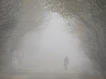 В Курской области стоит ожидать дожди и туман