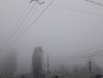 В Курской области стоит ожидать туманную и теплую погоду